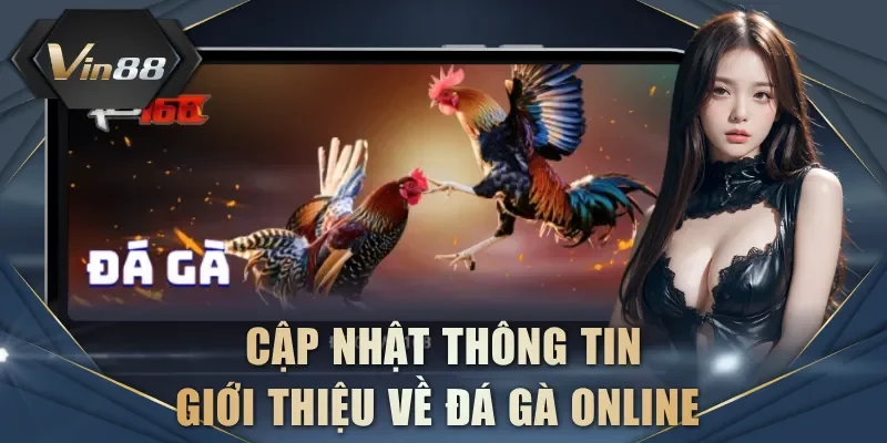 Cập nhật thông tin giới thiệu về đá gà online  