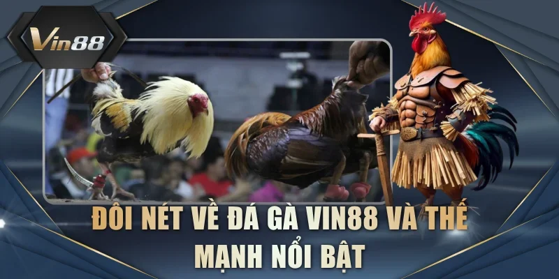 Đôi nét về đá gà VIN88 và thế mạnh nổi bật